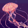 jellyfishh